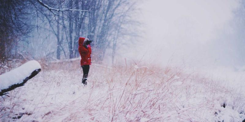 《原神》4.0+版本终极角色培养指南：从入门到精通的系统化策略