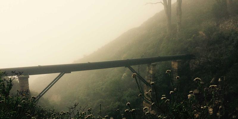 《原神》BOSS战机制全解析与逃课技巧：从周本到世界BOSS的高效攻克指南