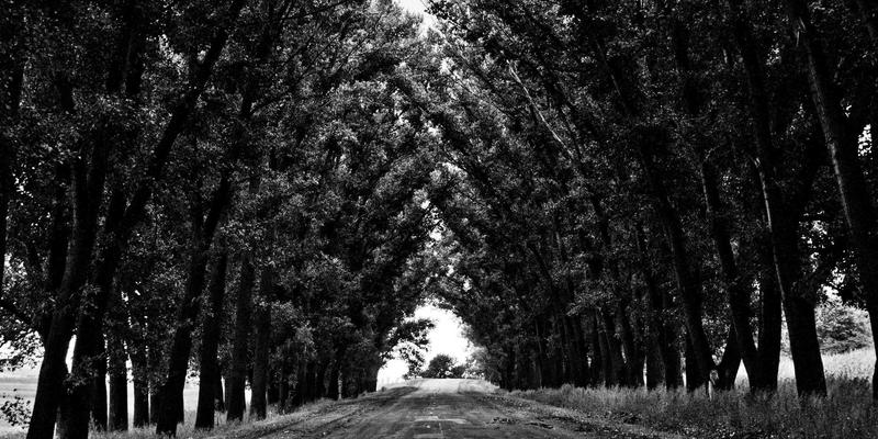 《原神》七国地图全解析：已开放区域攻略与未来国度剧情预测指南