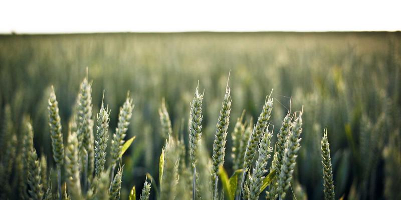 《原神》七圣召唤进阶攻略：从主流卡组构筑到天梯对战思路，玩家社区必看指南