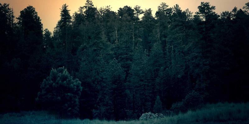 《原神》全方位入门指南：从角色培养到高效探索的进阶攻略