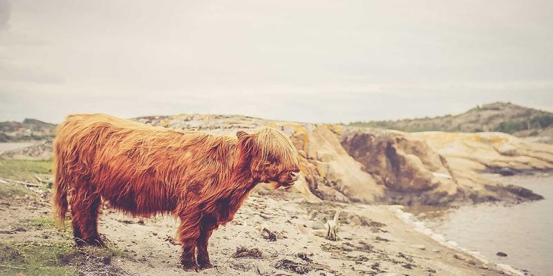 《原神》大世界探索效率全攻略：神瞳、宝箱、解密与传送点的最优路线规划