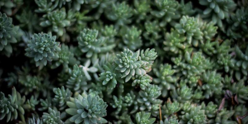 《原神》提瓦特大世界解谜机关全类型解析：从元素方碑到仙灵，一份提升探索效率的终极思维导图