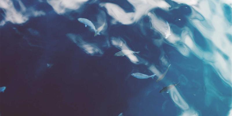 《原神》深度探索：提瓦特大陆的魅力与全球玩家社区的蓬勃生态