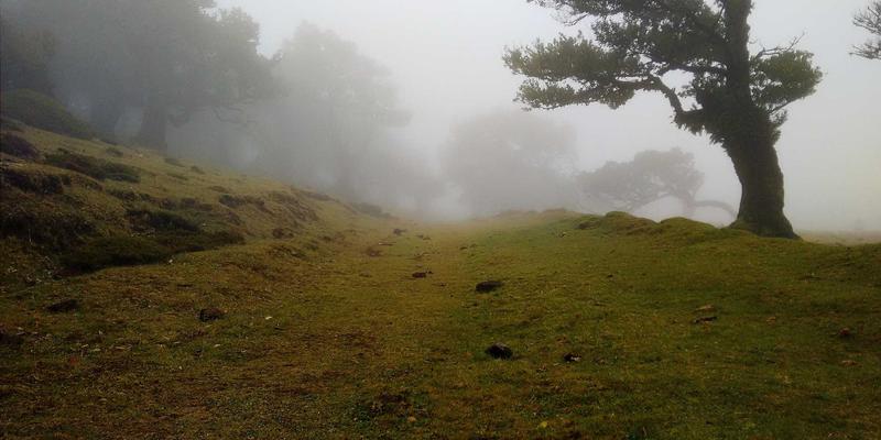《原神》配队核心逻辑：深度解析元素共鸣与双火/双冰等配队收益实战指南
