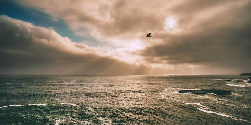 《原神》长草期进阶指南：资深玩家如何深耕角色培养与社区攻略，重燃游戏乐趣